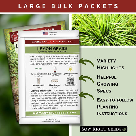 Sow Right Seeds Lemon Grass seeds for easy indoor-outdoor planting and fresh aromatics.