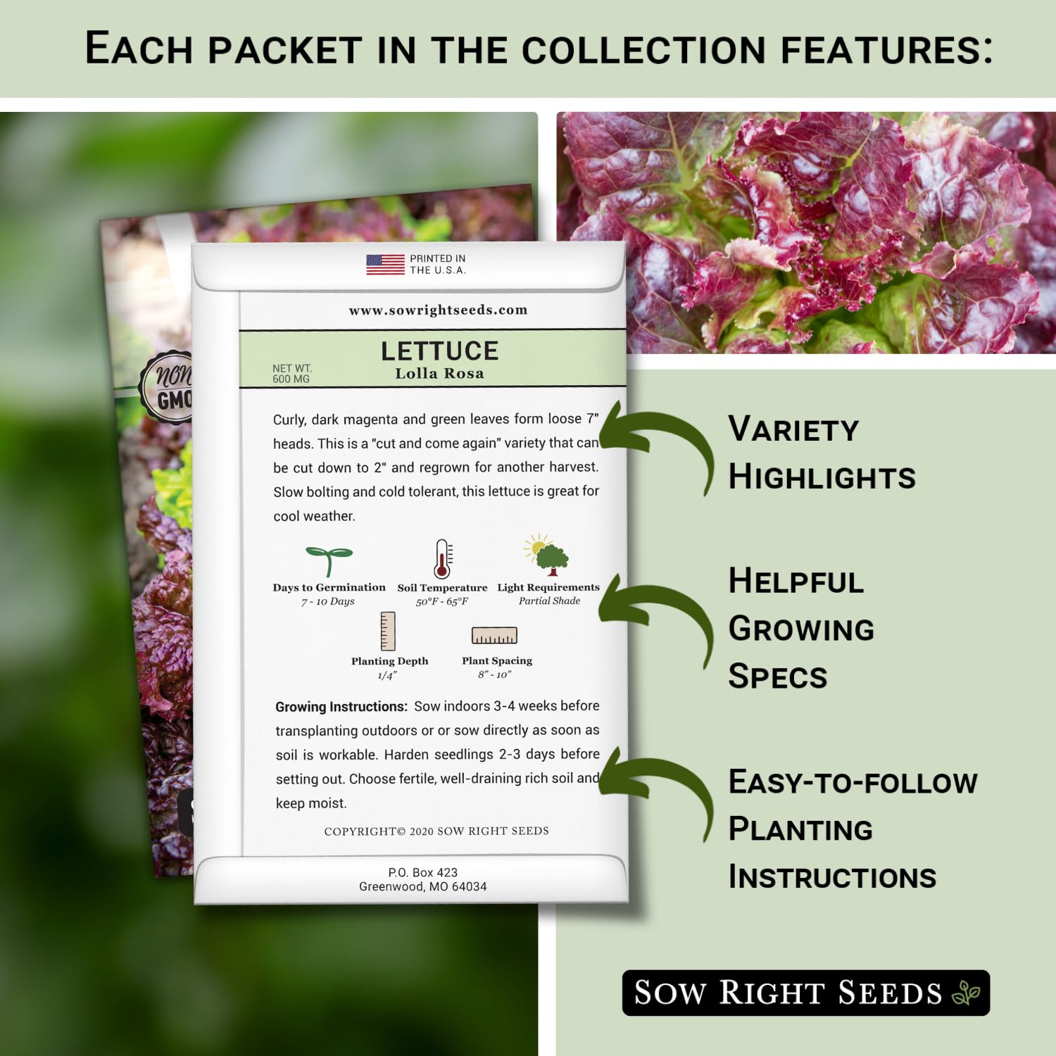 Sow Right Seeds Giant Caesar packets for flavorful garden harvests.