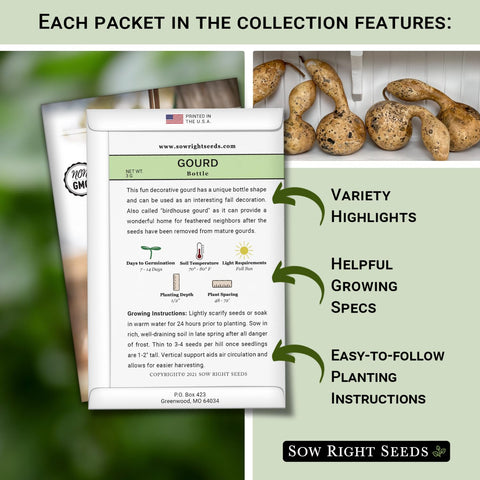 Sow Right Seeds luffa gourds image highlighting natural fiber gourds for cleansing and decor
