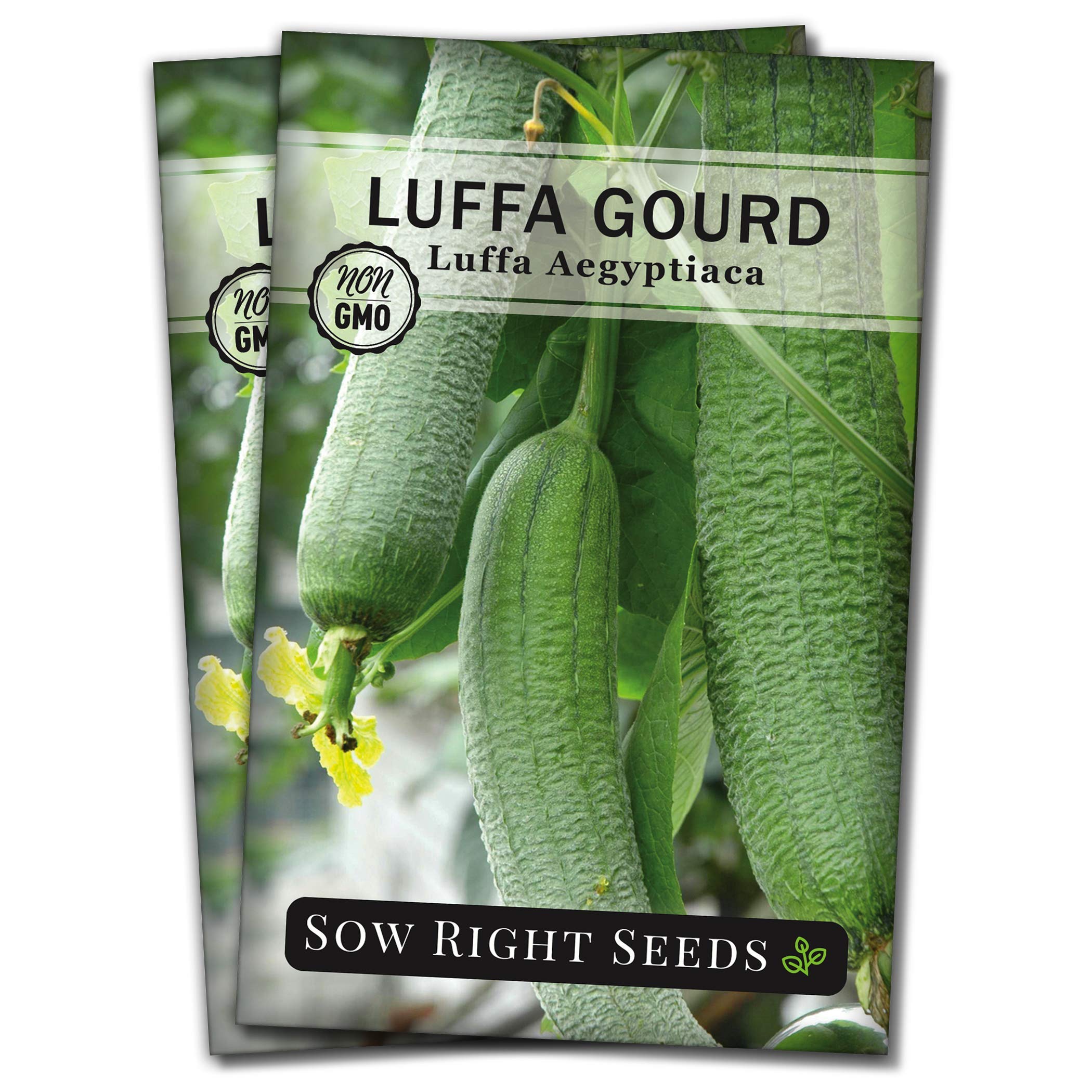 Sow Right Seeds luffa seed packet for home garden planning and easy germination.