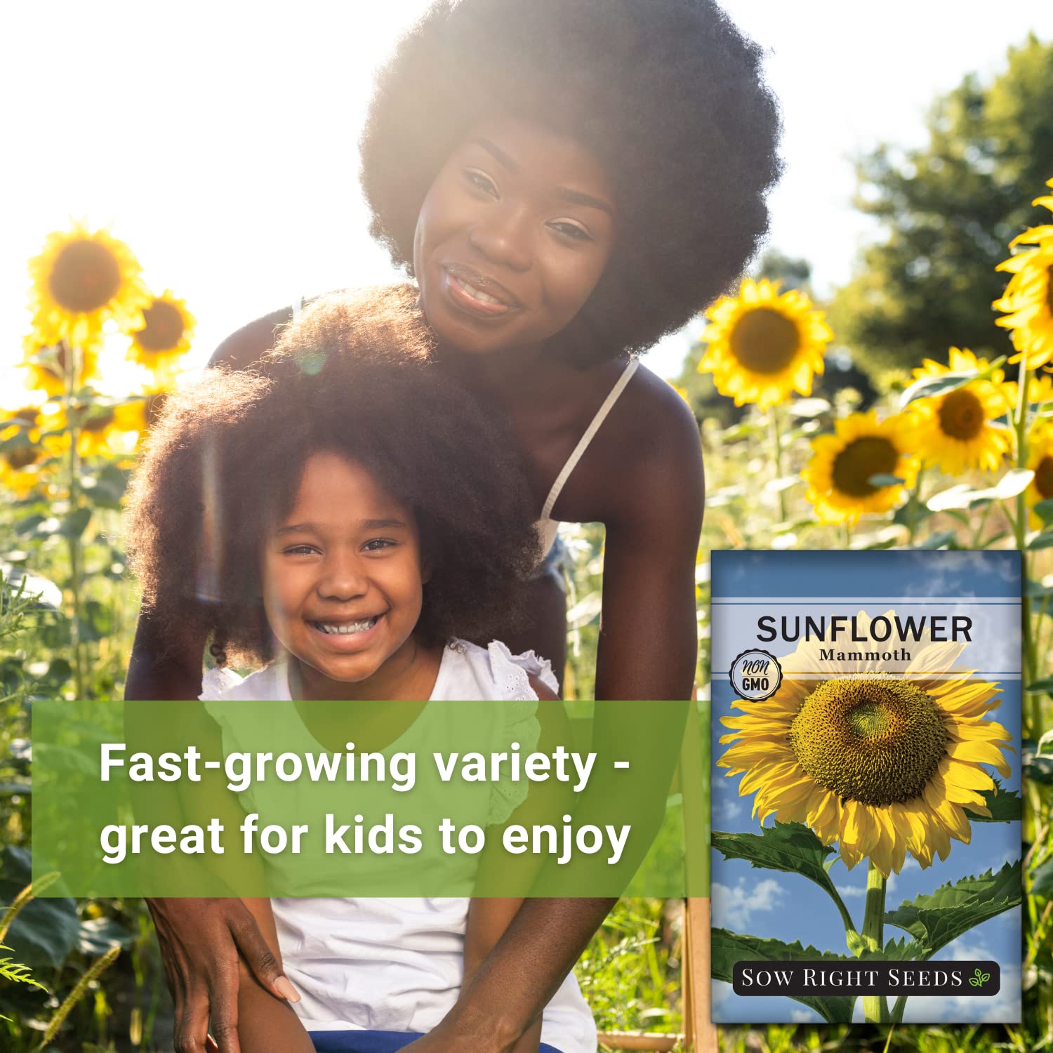 Sow Right Seeds Mammoth Sunflower blooms attract bees and other pollinators.