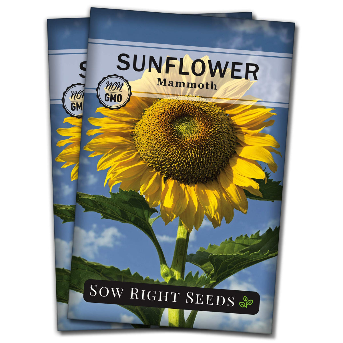 Sow Right Seeds Mammoth Sunflower seed packet for easy planting and heirloom seeds