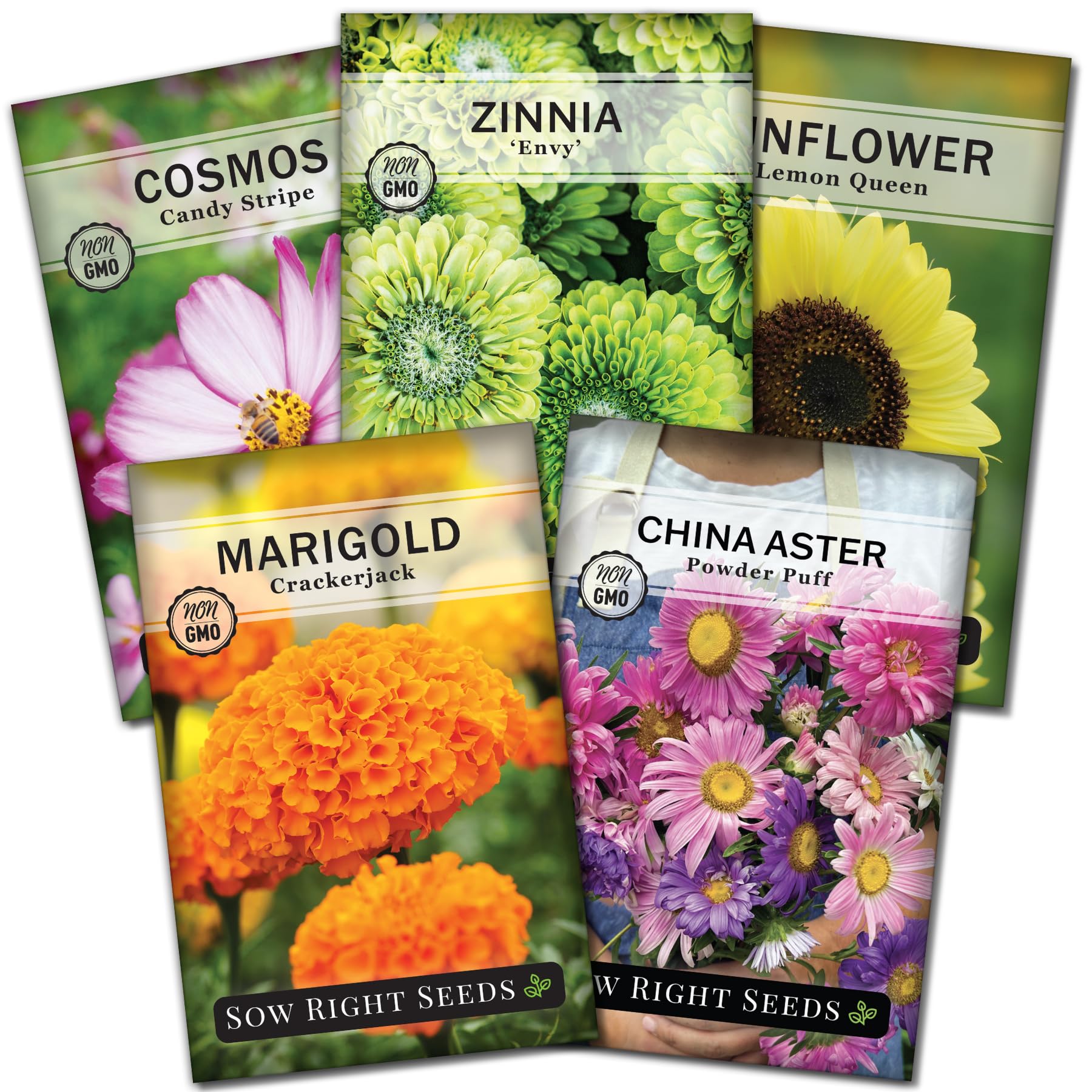 Sow Right Seeds marigold packets offer vibrant blooms for sunny borders and pots.