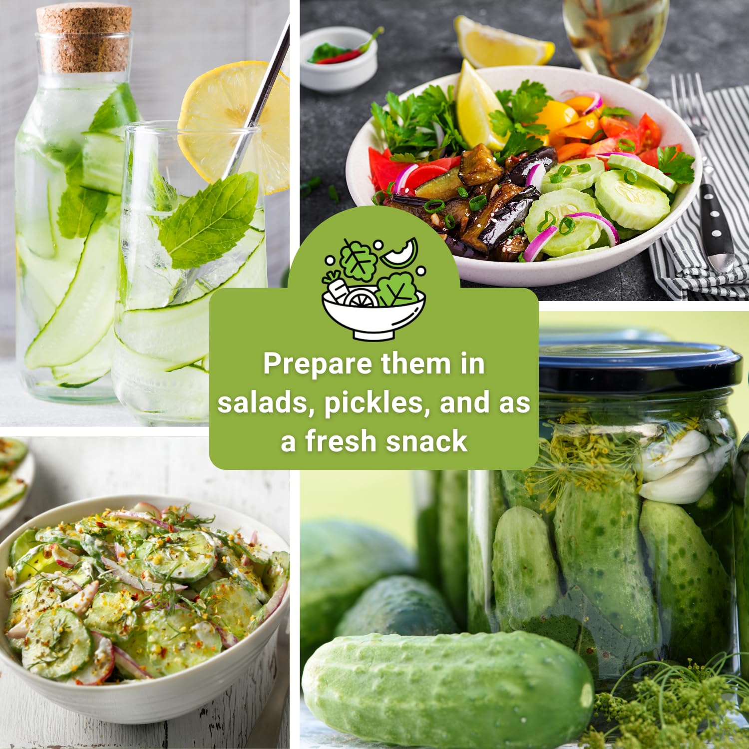 Sow Right Seeds Marketmore cucumber seeds for easy trellis gardening
