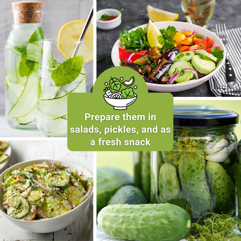 Sow Right Seeds Marketmore cucumber seeds for easy trellis gardening