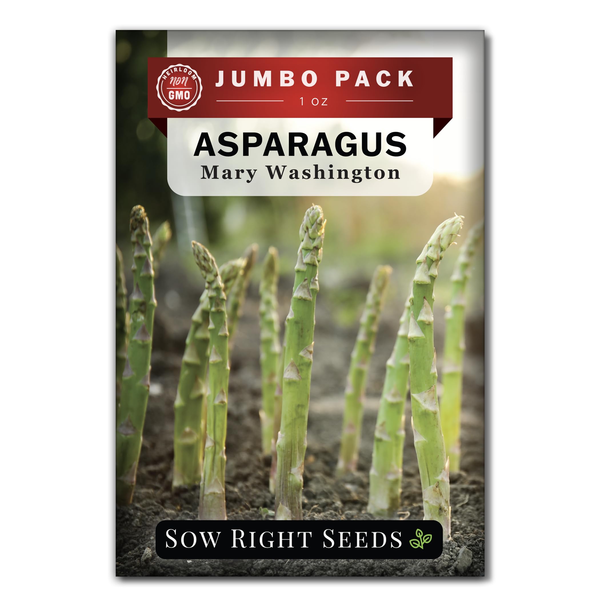 Sow Right Seeds Mary Washington asparagus bulk seeds 1oz for a thriving home garden.
