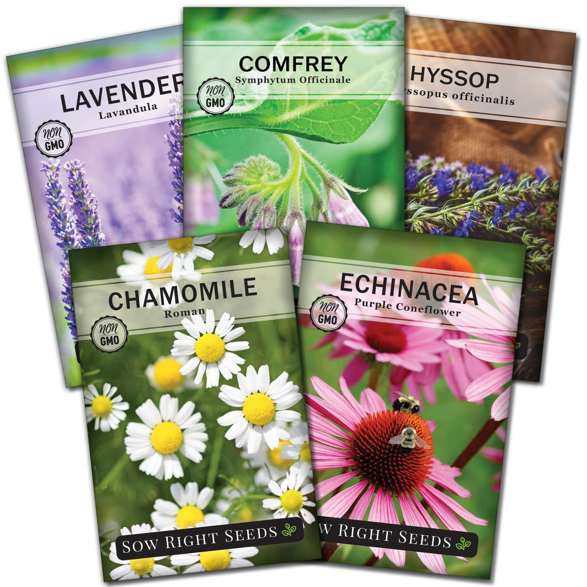 Sow Right Seeds Roman Chamomile seed packet for fragrant tea and calm aromas.