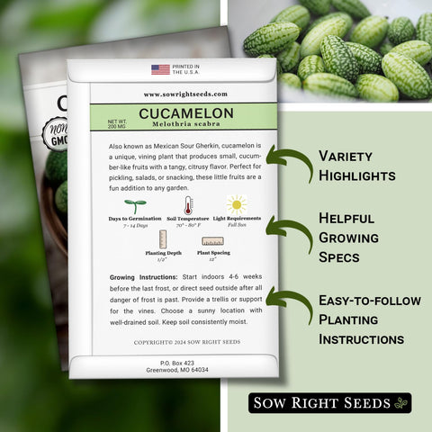Sow Right Seeds Mexican Sour Gherkin vine ready to climb a trellis