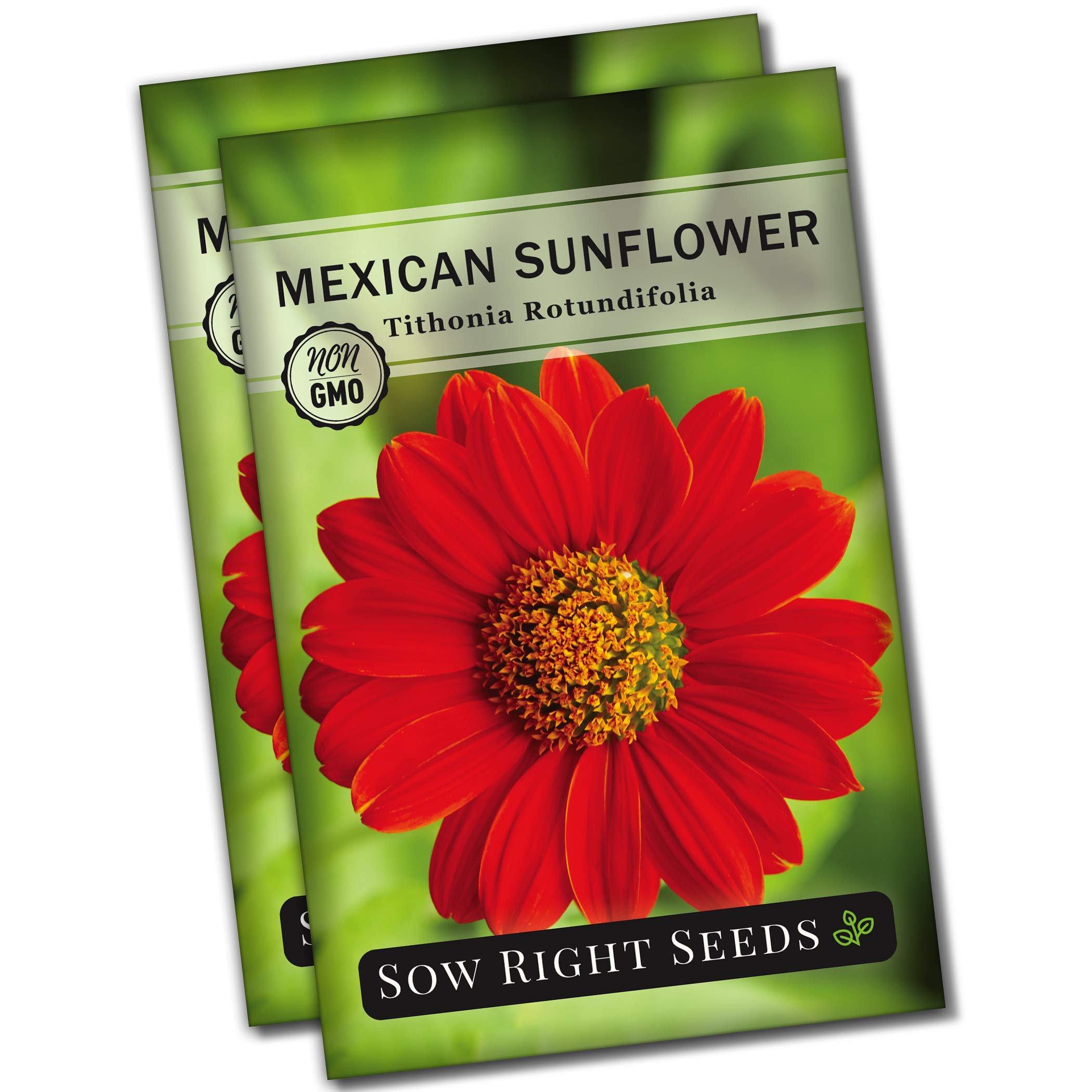 Sow Right Seeds Mexican Sunflower seed packet ready to plant and grow.