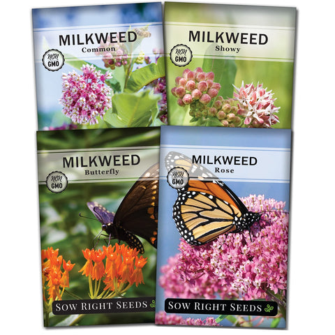 Sow Right Seeds milkweed common packet for monarch habitat and pollinator garden.