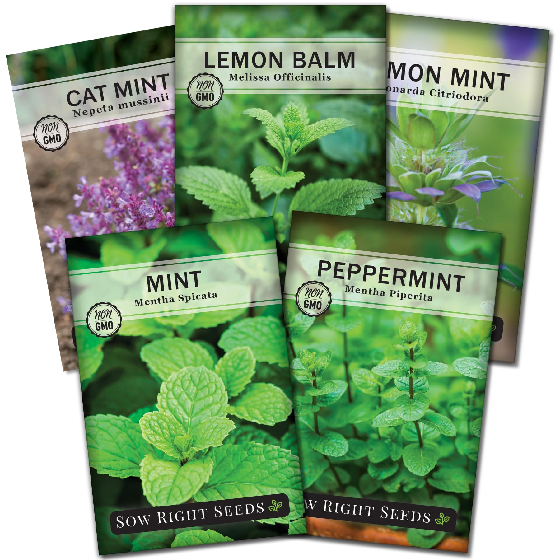Sow Right Seeds mint garden collection seed packets for an aromatic kitchen herb garden