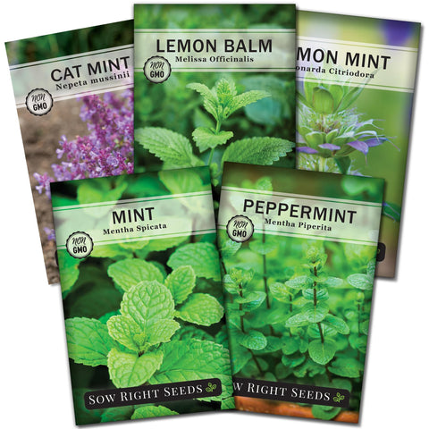 Sow Right Seeds mint garden collection seed packets for an aromatic kitchen herb garden