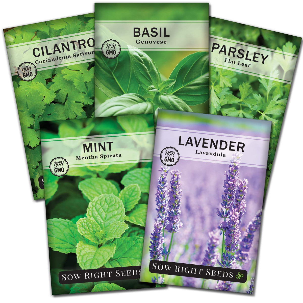 Sow Right Seeds mint packet closeup, ready for pesto or tea