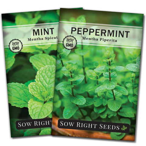Sow Right Seeds mint and peppermint collection pack showcasing two flavorful varieties for versatile cooking.