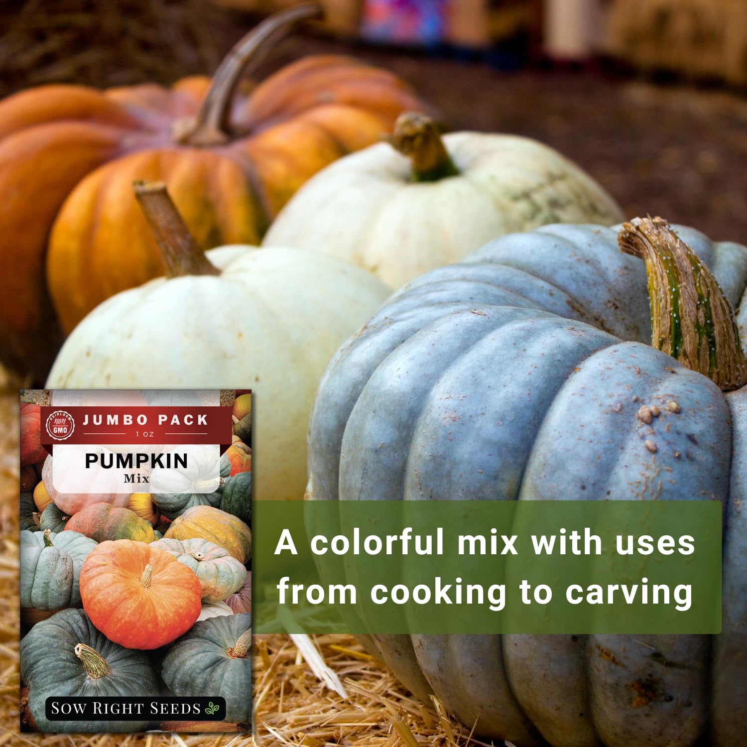 Sow Right Seeds mixed pumpkin plants with large leaves thriving in sun.