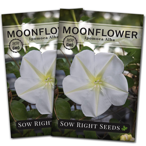 Sow Right Seeds Moonflower seed packet ready for planting, promising premium seeds for evening color