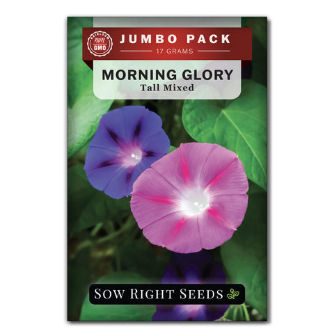 Sow Right Seeds morning glory bulk packet: vibrant colors for trellis and pollinator gardens.