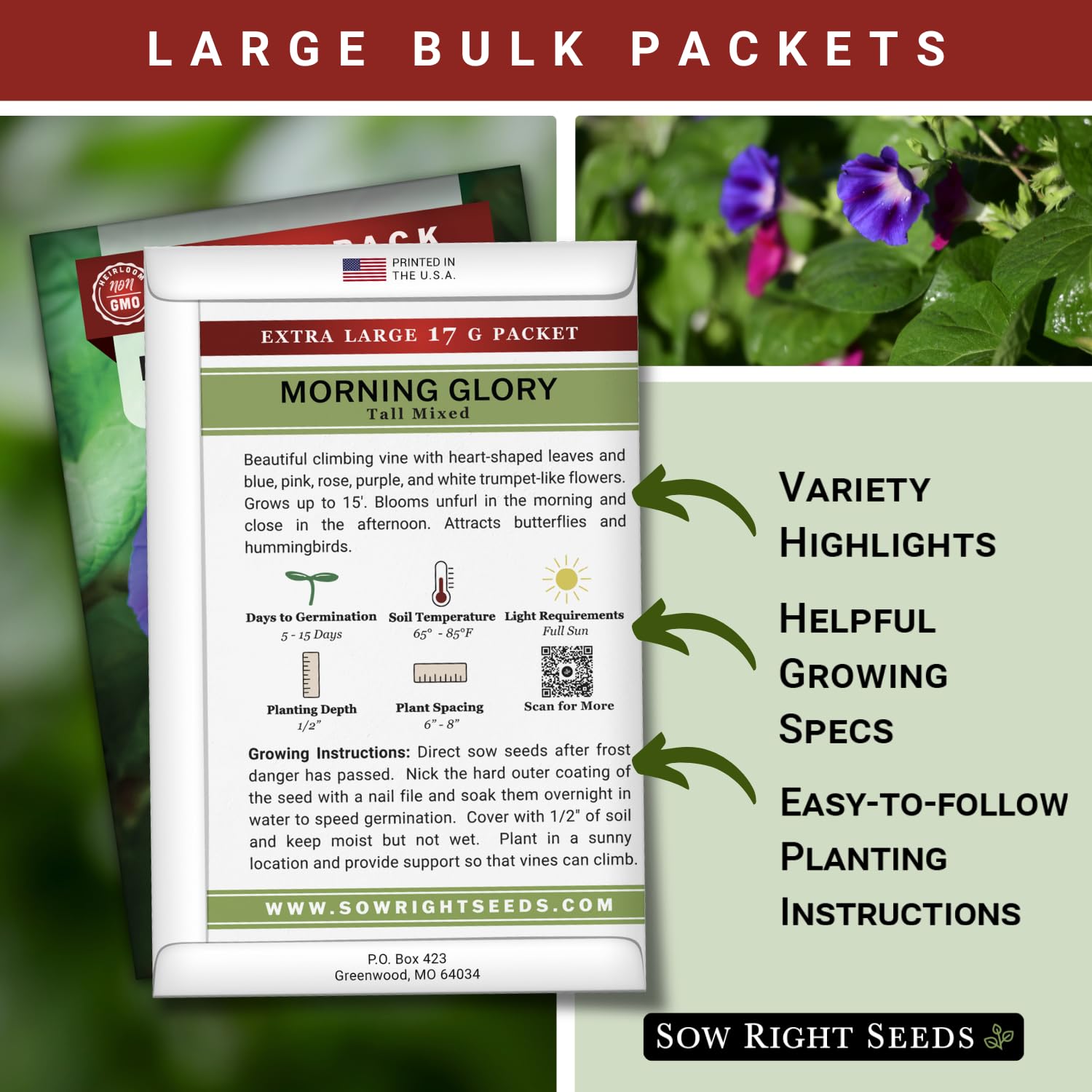 Sow Right Seeds morning glory mixed colors to fill fences with lively blooms.