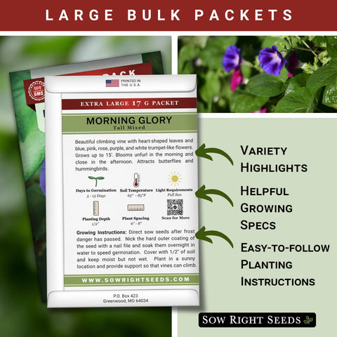 Sow Right Seeds morning glory mixed colors to fill fences with lively blooms.