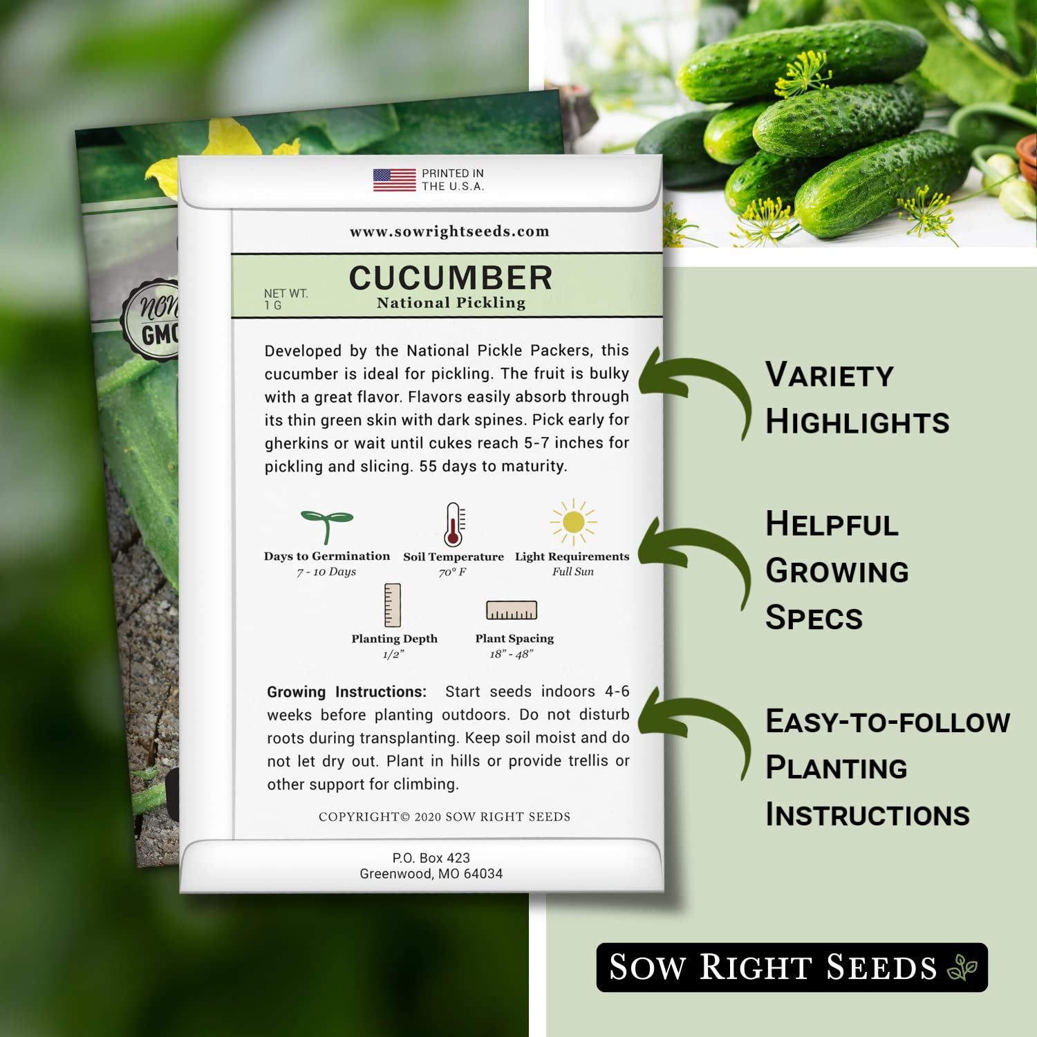 National Pickling Cucumber seeds by Sow Right Seeds germination begins quickly in warm soil.