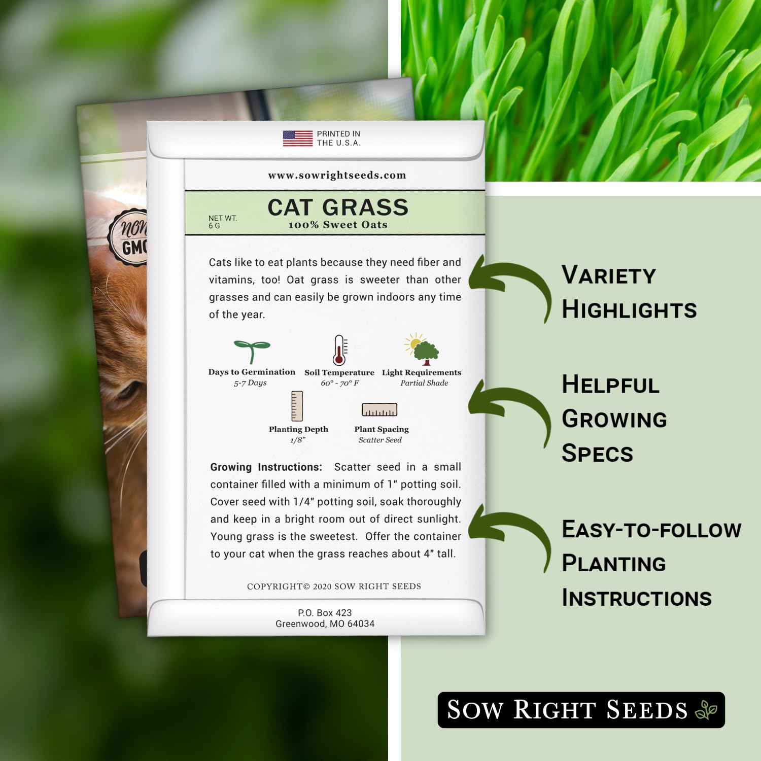Sow Right Seeds oat grass for cats promotes safe nibbling and natural enrichment.
