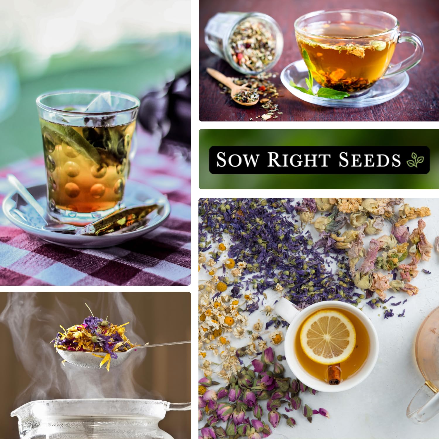 Sow Right Seeds packaging image with 10 seed packets, great gift
