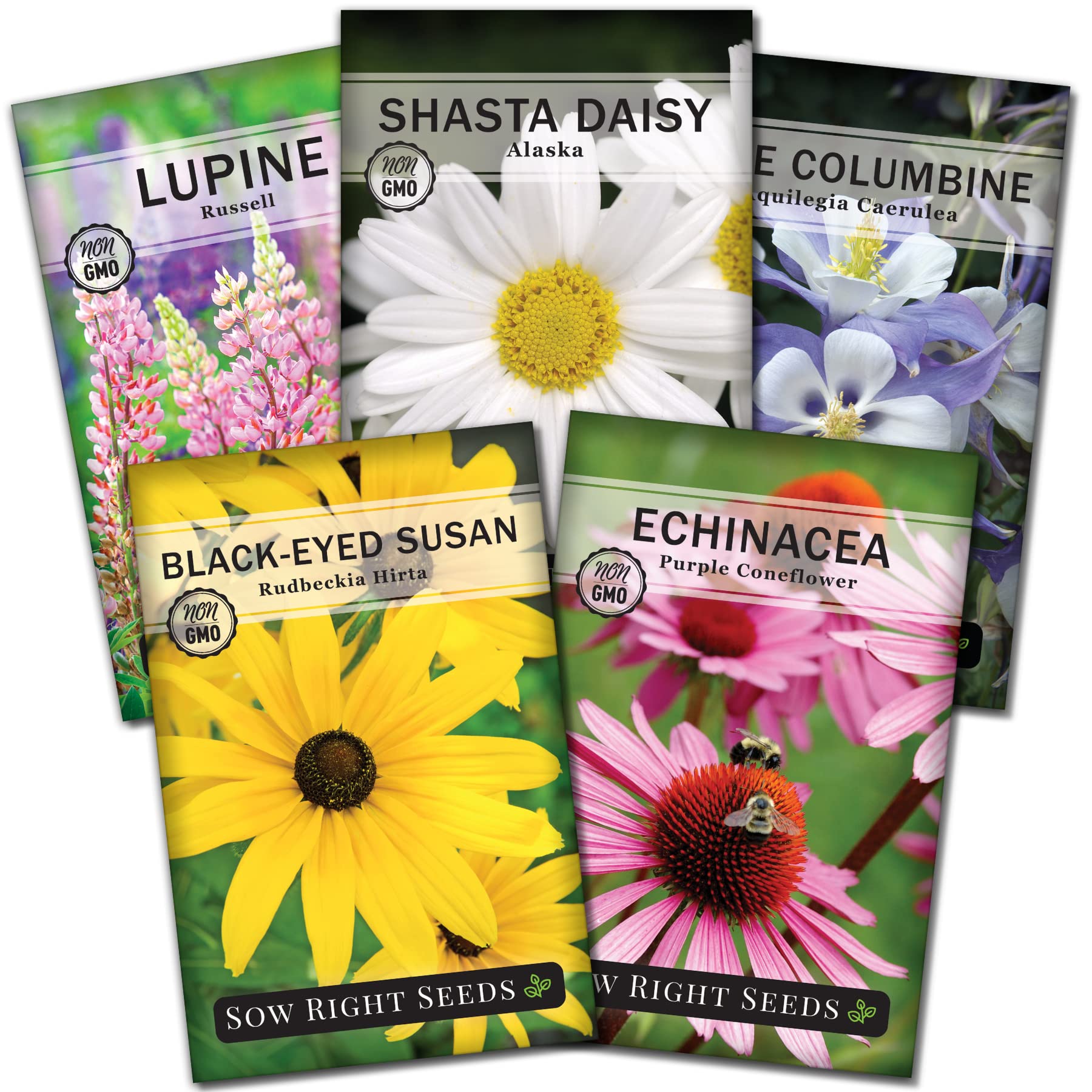 Sow Right Seeds perennial collection with Russell Lupine seed packet for vibrant borders and cut flowers