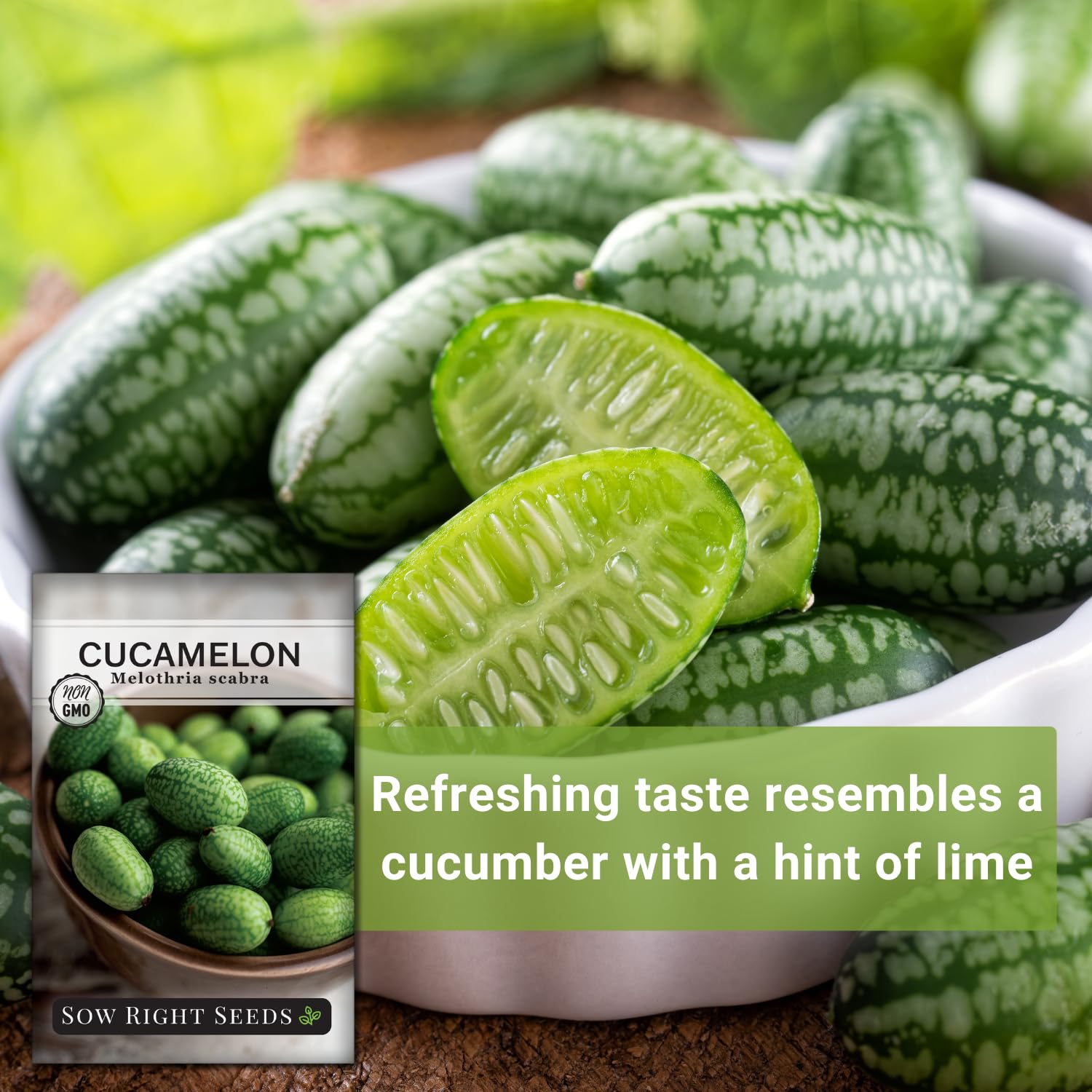 Cucamelon fruits ideal for pickling or fresh salads