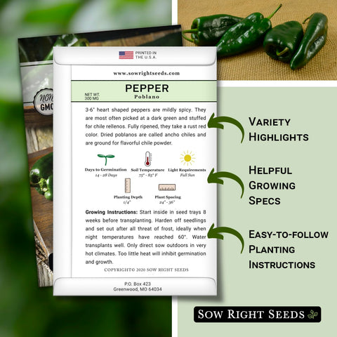 Sow Right Seeds Poblano seeds in garden setup showing germination readiness