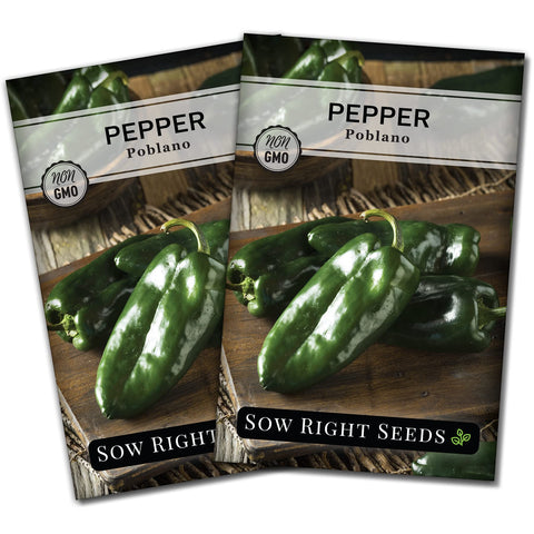 Sow Right Seeds Poblano seed packet ready for planting in home garden