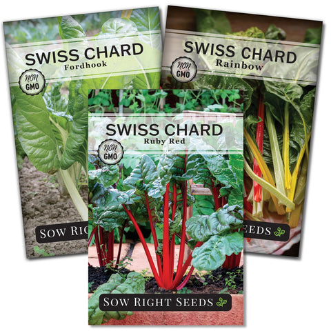 Sow Right Seeds Rainbow Swiss chard seeds for a vibrant garden harvest