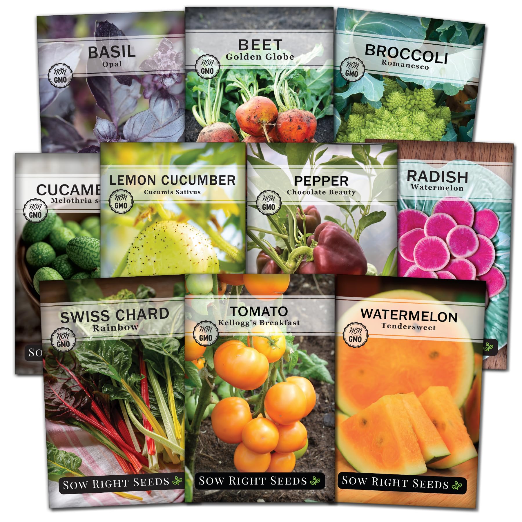 Sow Right Seeds rare exotic collection packets laid out for an easy-start colorful garden