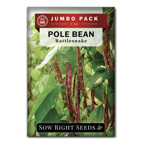 Sow Right Seeds rattlesnake pole bean seeds ready for bulk planting in a home garden