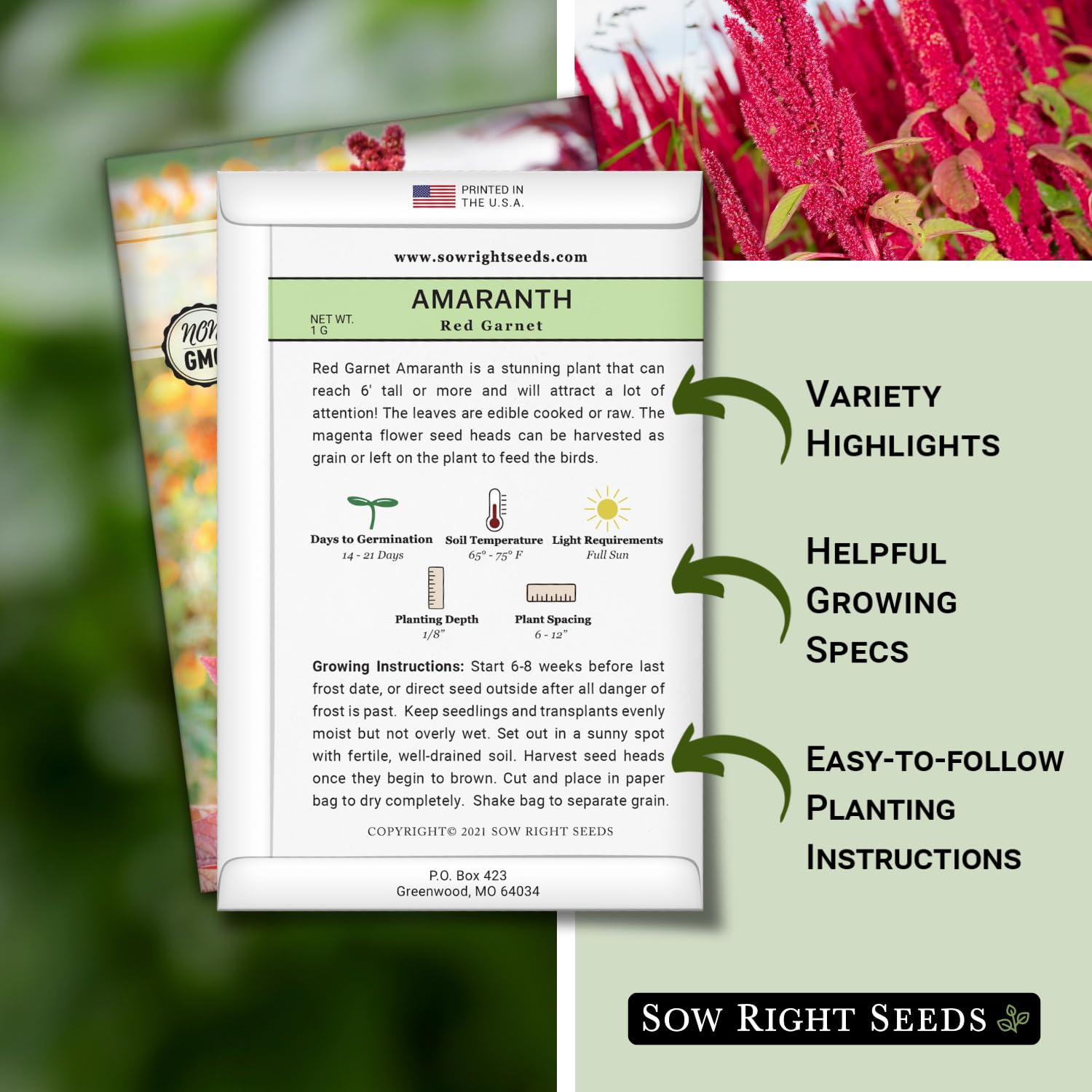 Sow Right Seeds Red Garnet Amaranth leaves close-up highlighting edible greens.