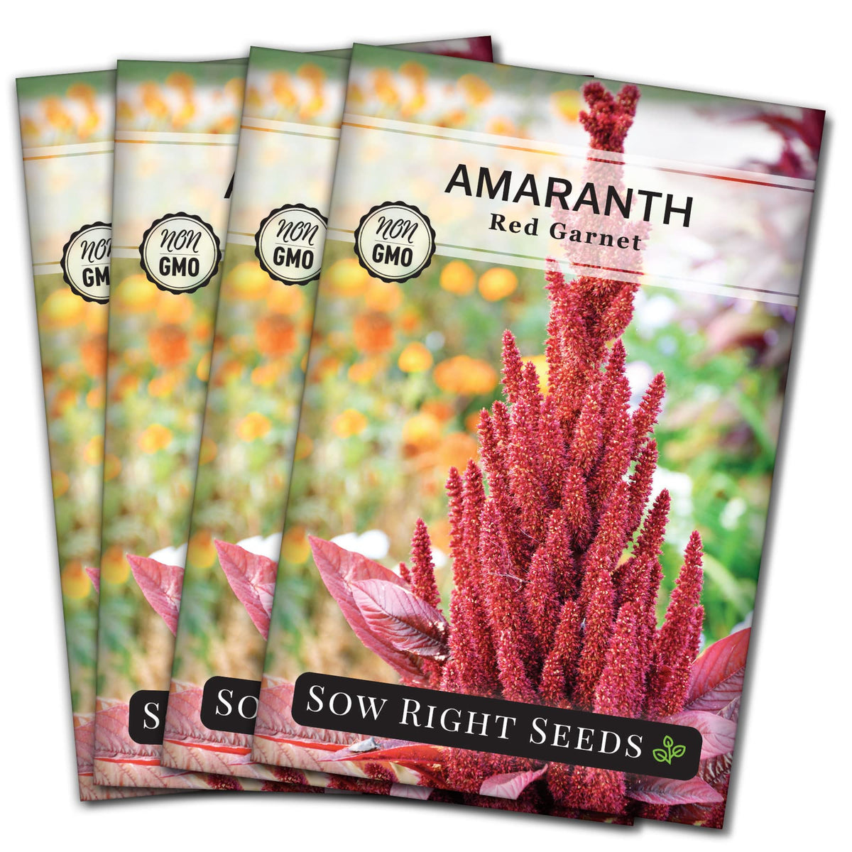 Sow Right Seeds red garnet amaranth seed pack for easy home gardening and ornamental display.