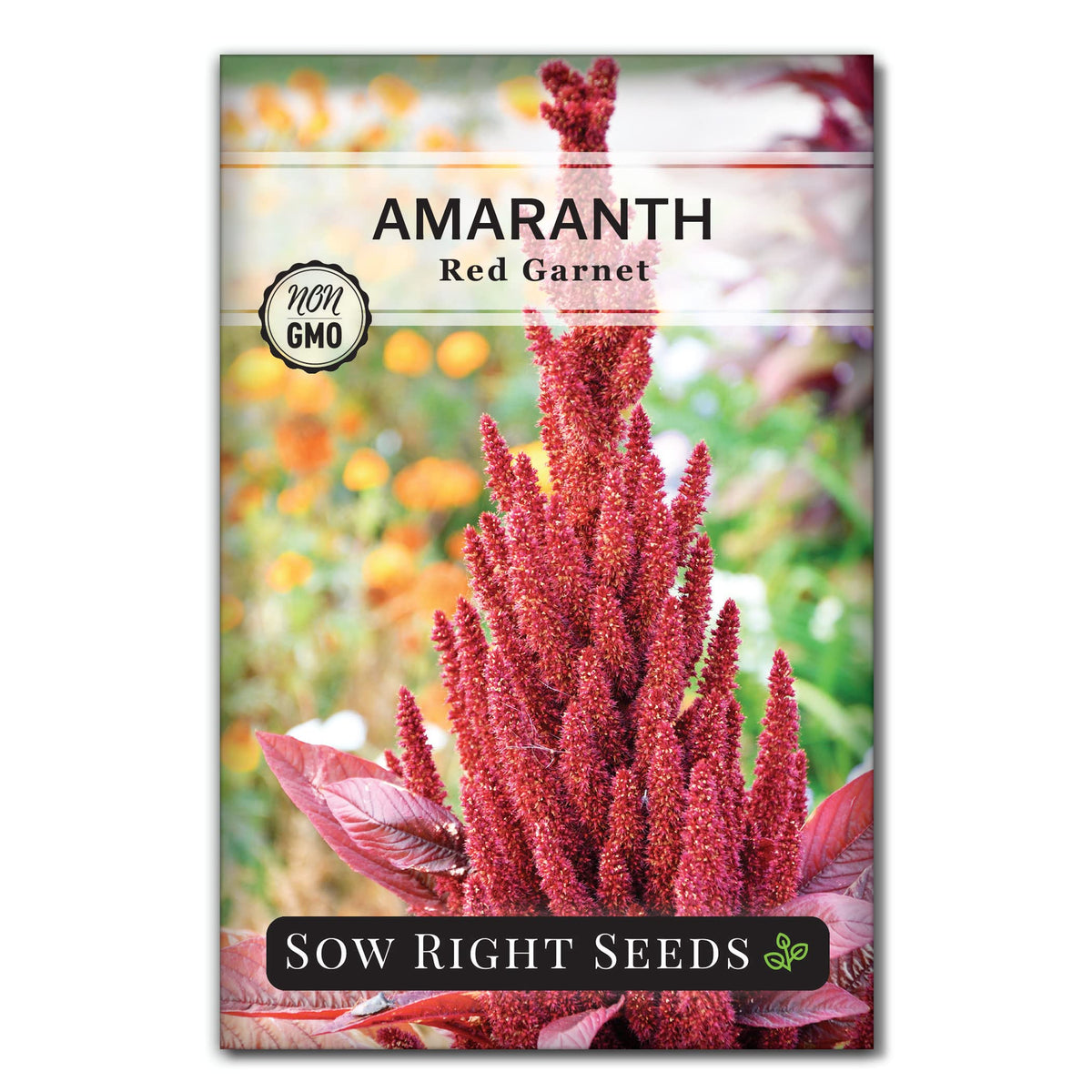 Sow Right Seeds red garnet amaranth seed pack for home gardening.