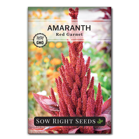 Sow Right Seeds red garnet amaranth seed pack for home gardening.