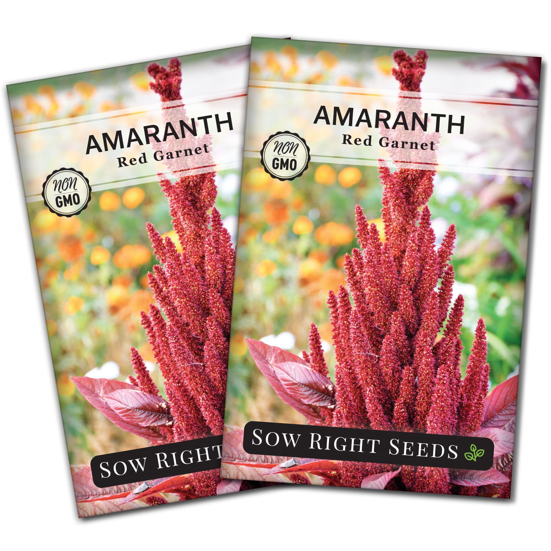 Sow Right Seeds Red Garnet Amaranth seed packet ready for a tall, dramatic garden display.