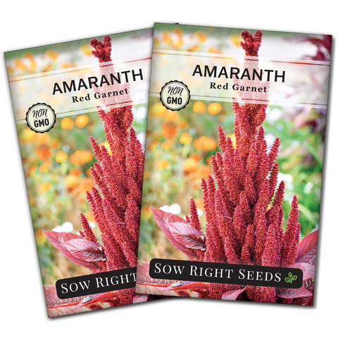 Sow Right Seeds Red Garnet Amaranth seed packet ready for a tall, dramatic garden display.