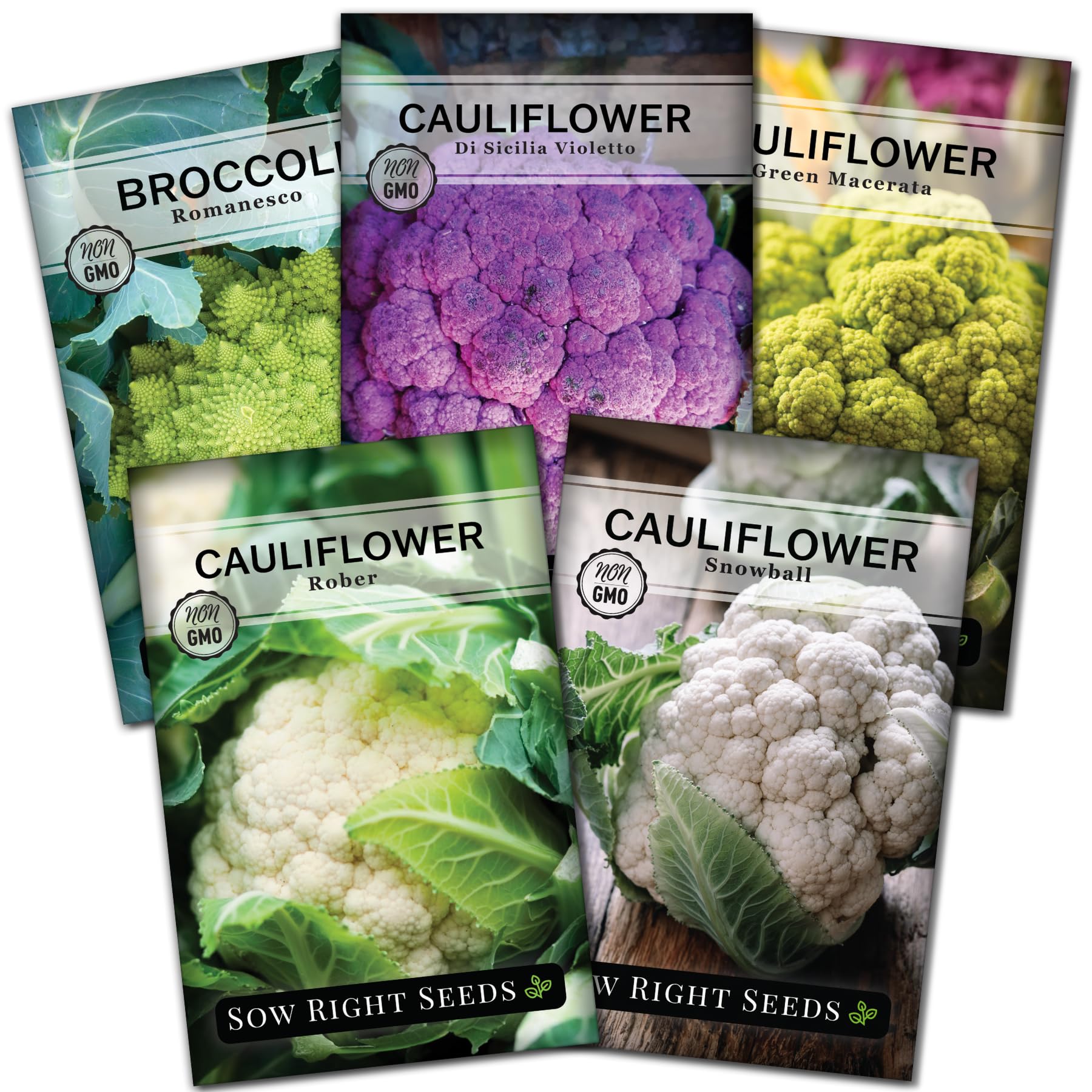 Sow Right Seeds Rober cauliflower seed packet for vibrant home harvests