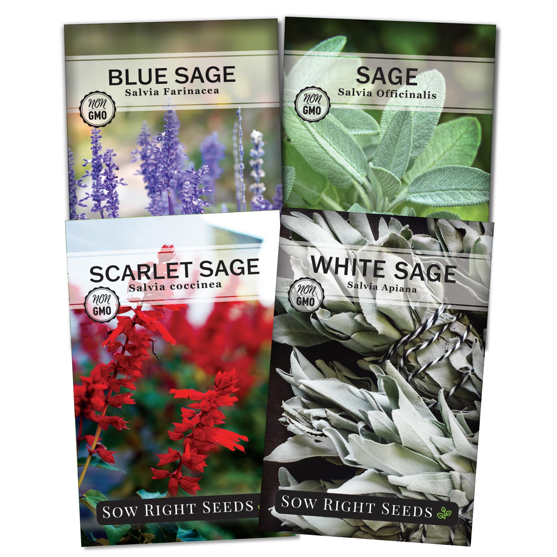 Sow Right Seeds sage seed collection packets for an easy, aromatic herb start