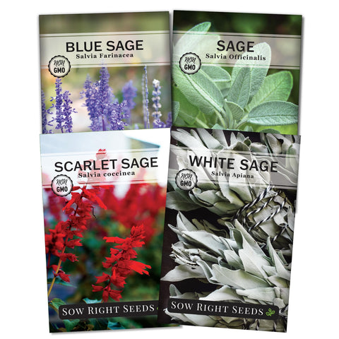 Sow Right Seeds sage seed collection packets for an easy, aromatic herb start