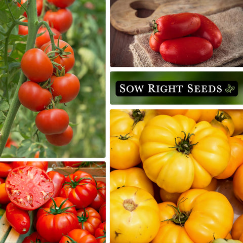Sow Right Seeds San Marzano seed packet ideal for sauces and fresh dishes.