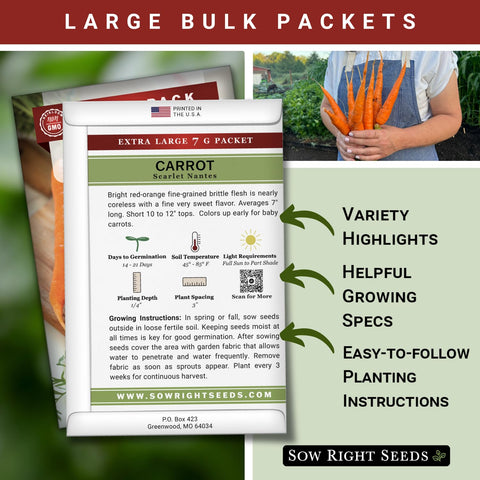 Sow Right Seeds Scarlet Nantes seeds closeup reveals vibrant color and fine flesh
