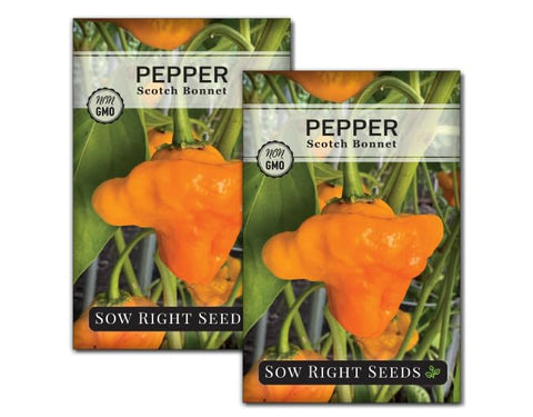 Sow Right Seeds Scotch Bonnet seeds packet ready for planting.