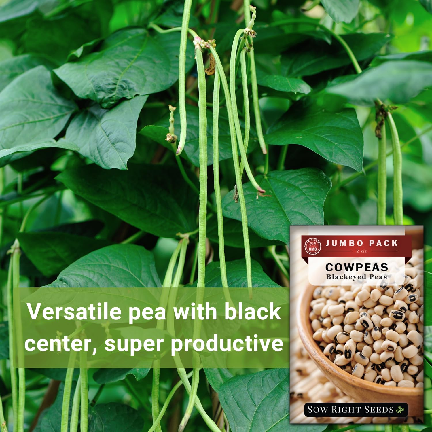 Sow Right Seeds produced in a solar-powered facility for greener gardening.