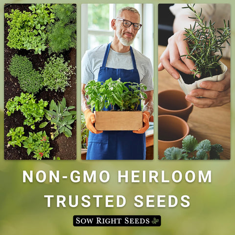 Sow Right Seeds solar-powered, safe-seed pledge farming and sustainability