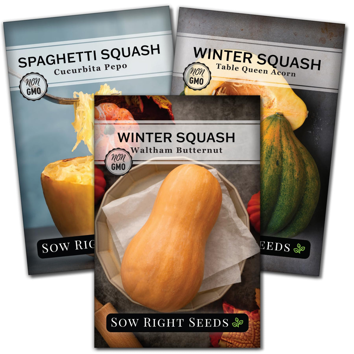 Sow Right Seeds spaghetti squash fruit close-up for roasting and stuffing possibilities