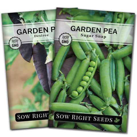 Sow Right Seeds Sugar Snap pea packets with planting instructions for home harvest.