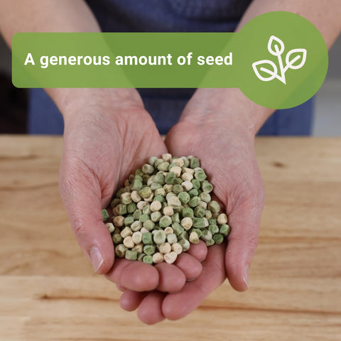 Sow Right Seeds edible sugar snap pea pods ideal for fresh snacking.